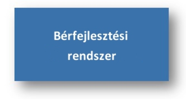 Bérfejlesztési rendszer