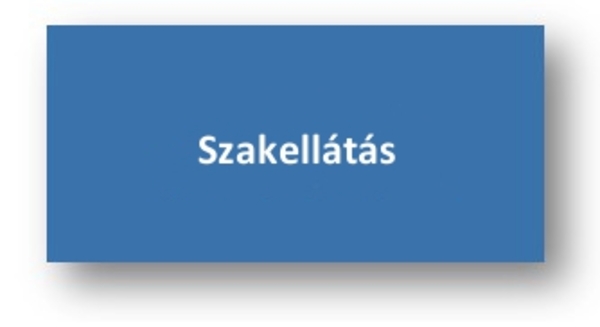 Szakellátás