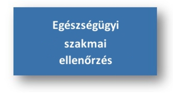 Egészségügyi szakmai ellenőrzés