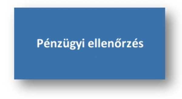 Pénzügyi ellenőrzés