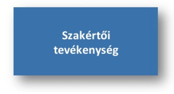 Szakértői tevékenység